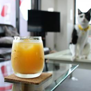 ドリンクは別料金